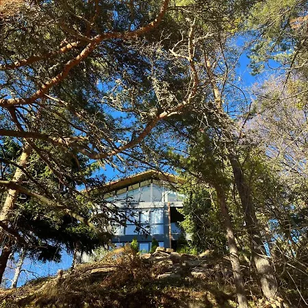 Forest View