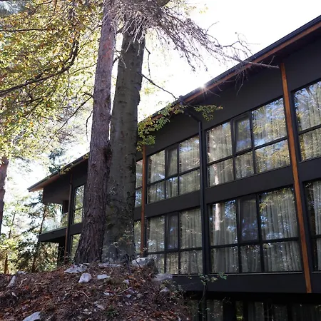 Hotel Forest View *