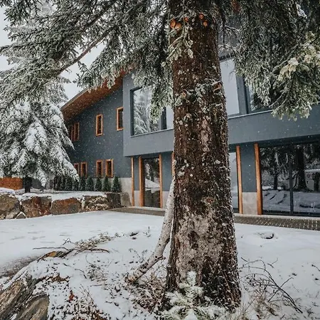 Forest View Hotel