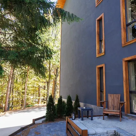 Forest View Hotel *
