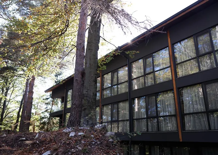 Хотел Forest View *