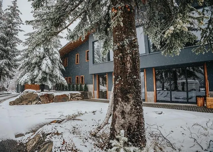 Forest View Хотел