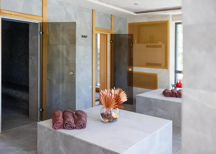 Forest View * Yavrovo