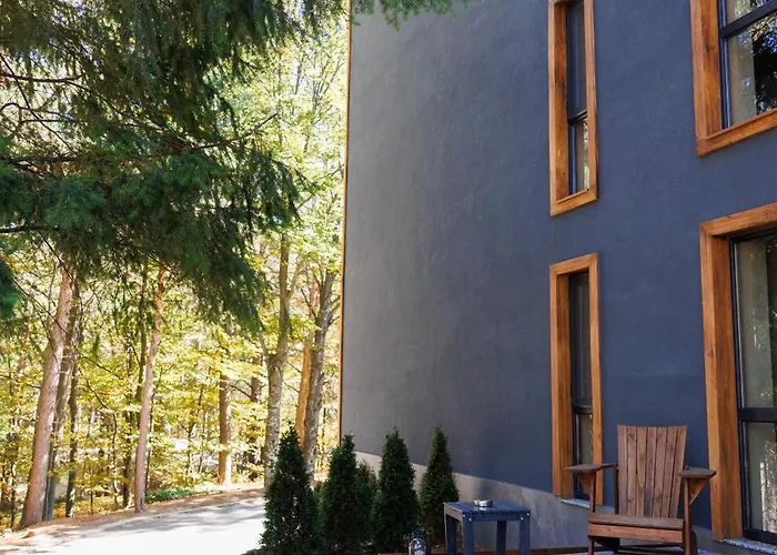 Forest View Хотел *